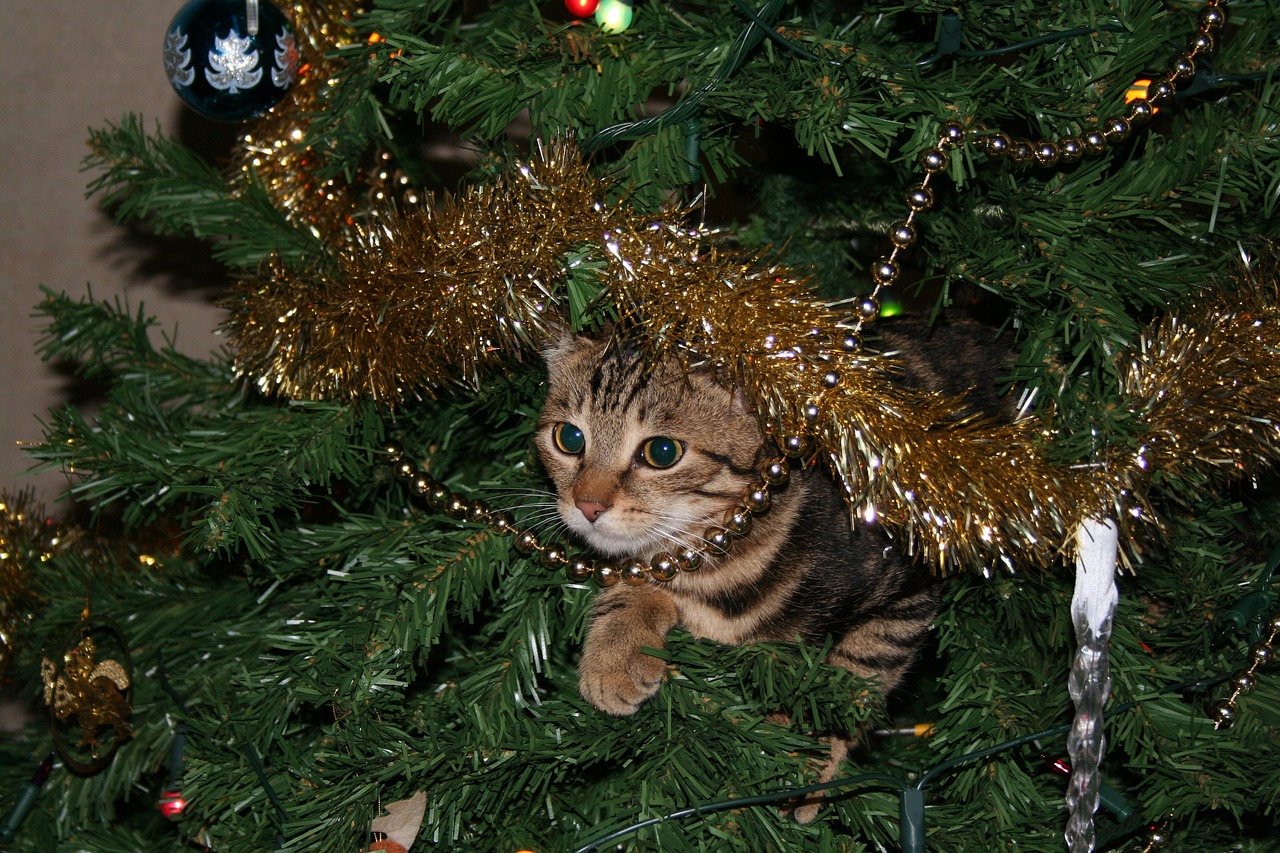 Cinco consejos para que tus gatos y el árbol navideño vivan en armonía